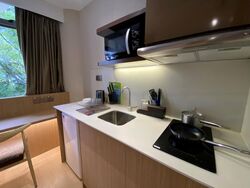 Mount Elizabeth Link (D9), Condominium #466085451